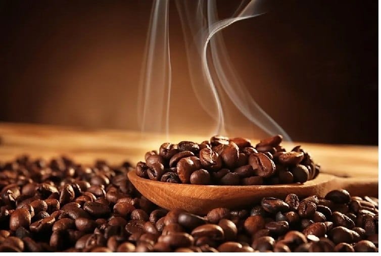 whatsapp image 2026 02 09 at 10.31.17 am (2)